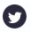 Twitter App Logo